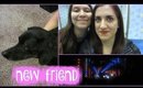 NEW FURRY FRIEND! | {vlogmas day 20}