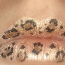 cheetah lipart