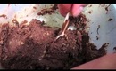 FOOD: How to Bake Nutella Brownies for Valentines Day