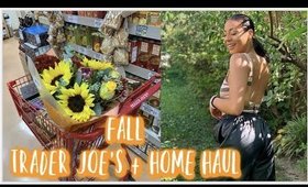 TRADER JOE'S FALL HAUL + NEW APARTMENT DECOR