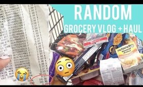 RANDOM GROCERY VLOG + HAUL || Riding the Campus's Transit