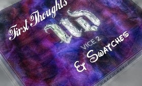 Urban Decay Vice 2 Palette - First thoughts and swatches