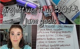 Project Use It Up 2014: June Goals