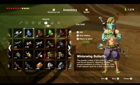 Girl plays Breath of the Wild BLIND STREAM PLAYTHROUGH. Part 23