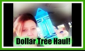 DOLLAR TREE HAUL: Last Minute Stocking Stuffers & Other Stuff!