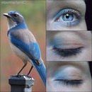 Bird makeup