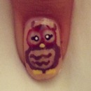 Close up of the owl mani