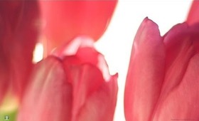 Lean Into Spring: Pink Lipsticks Drugstore Edition