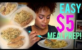 EASY  $5 COLLEGE  MEAL PREP!! | Pan Seared Chicken Tenders with Cheddar Broccoli Rice