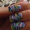 Pastel rainbow zebra 