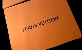 Louis Vuitton Jersey Review/What Fits Inside!