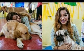 A day in a Dog Cafe - Pawfect Life 🐾❤️   | Debasree Banerjee