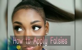HOW TO: APPLY FALSIES