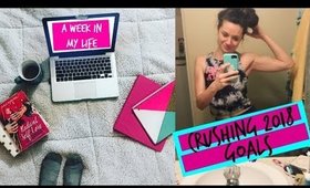 Crushing 2018 Goals!