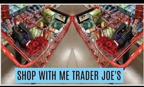 SHOP WITH ME TRADER JOE'S | DAIRY FREE | HAUL