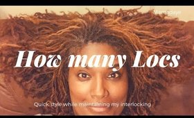 Counting my locs, prepping for interlocking & styling