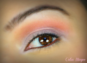 Using pure fusion mineral eyeshadows in 
Var on the lid
coral on the crease
