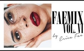FAEMIX VOL. VI