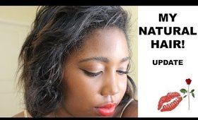 My Natural Hair - Update | Jessica Chanell