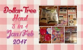 Dollar Tree Haul |  3 in 1 Jan/Feb 2017 |  PrettyThingsRock