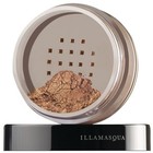 Powdered Metal