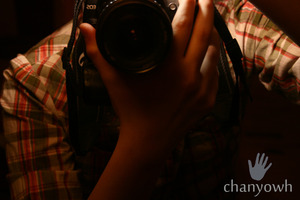 arwa