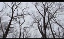 I'm sorry about yesterday Cover | Fifisnowbar