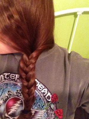 Fish tail braid 