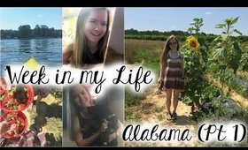 Week in My Life: Alabama Pt 1: Ziplining, Strawberry Picking, Kayaking, + More