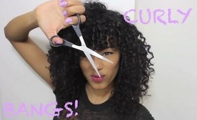 Trimming Curly Bangs ♥ Dry Cutting Method