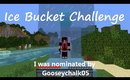 Ice Bucket challenge Minecraft Style
