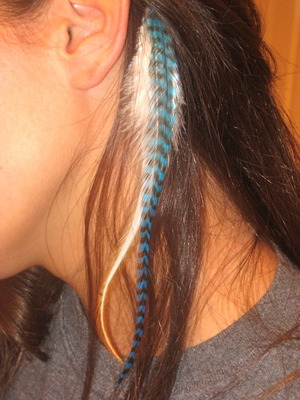Hair Feather Extensions