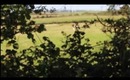 Wales vlog part 2