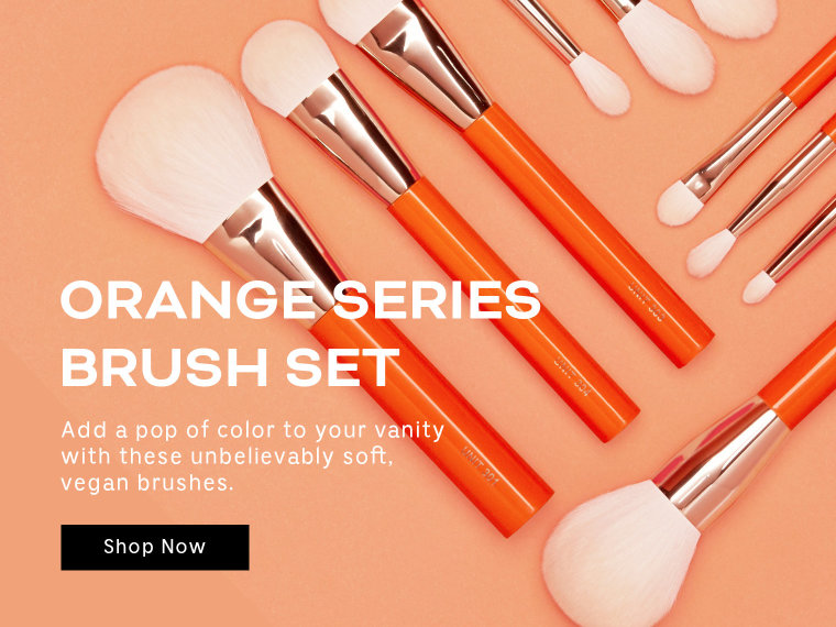 Orange Series Brush Set