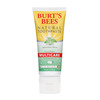Burt's Bees Natural Toothpaste - Spearmint Gel