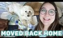 I’ve Moved Back to Slovenia! | Unpacking & Packing Again