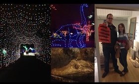Detroit Zoo Wild Lights Show (Vlogmas Day 14)
