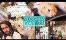 Gotta Feed Your Gremlin | Vlogmas Day 23!