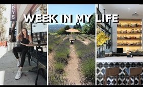 BARRY'S X LULULEMON COLLECTION, GIANTS GAME,  PRSA SIERRA NEVADA, WINE TASTING 🍷 WEEKLY VLOG