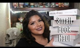 Small Book Haul || Marya Zamora