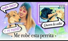 Mi NUEVA MASCOTA y Queen LA ODIA - TAG DE LA MASCOTA | Kika Nieto
