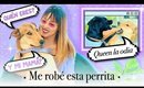 Mi NUEVA MASCOTA y Queen LA ODIA - TAG DE LA MASCOTA | Kika Nieto