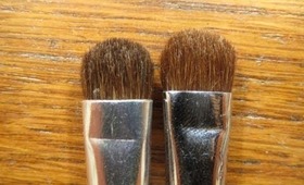 Splurge of Save? Sigma E55 Brush vs ELF Essential Eye Shadow Brush