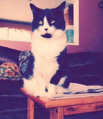 Keekee L.