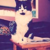 Keekee L.