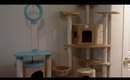 Where to get a great deal on Cat Trees!