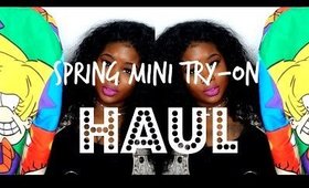 ♡ Spring Mini Haul - Try On