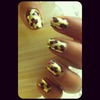 Gold Cheetah