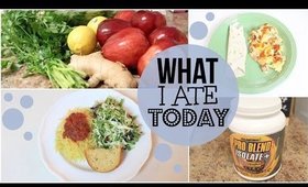 WHAT I ATE TODAY | LACTO-OVO VEGETARIAN