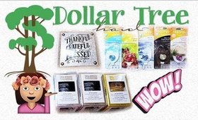 Dollar Tree Haul | Beauty, Planner and a Winner! | PrettyThingsRock